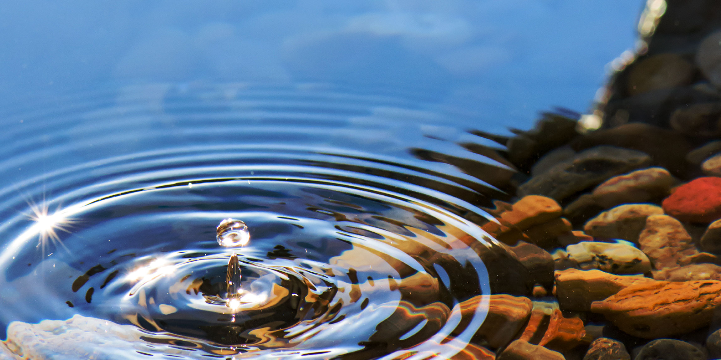 Annual Report 2024-2025